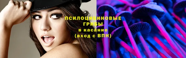 прущий лед Вязьма