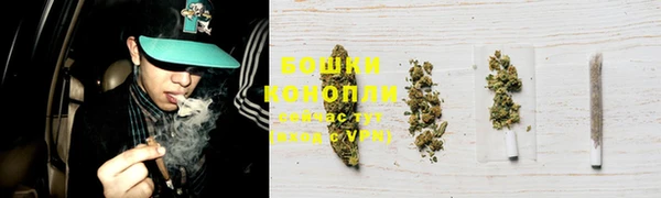 прущий лед Вязьма