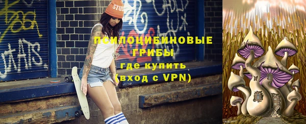 шишки Вязники