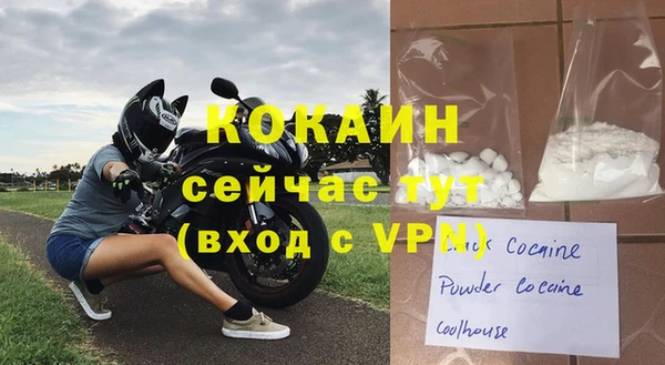 шишки Вязники